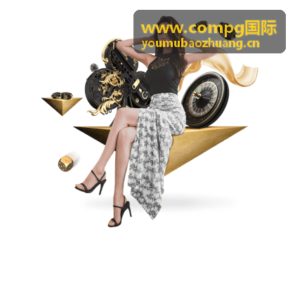 www.compg国际 现场打托与装柜加固服务