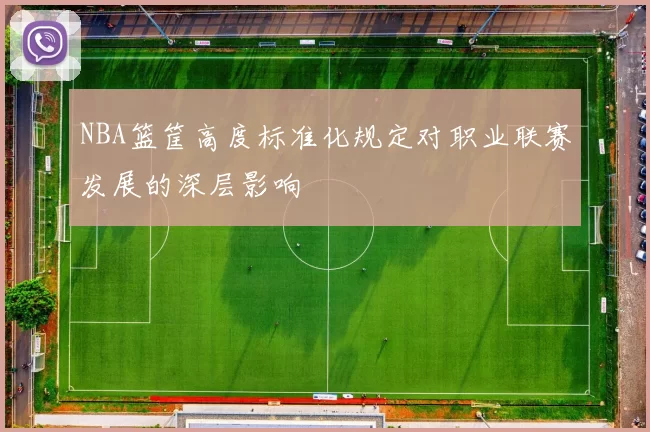 NBA篮筐高度标准化规定对职业联赛发展的深层影响