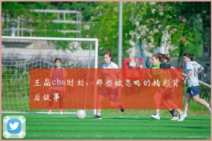 王晶cba时刻,那些被忽略的精彩背后故事
