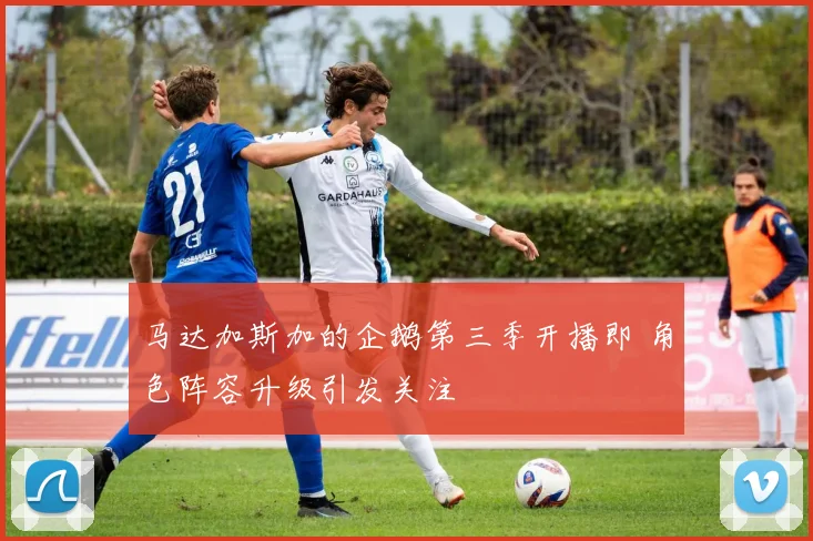 马达加斯加的企鹅第三季开播即 角色阵容升级引发关注