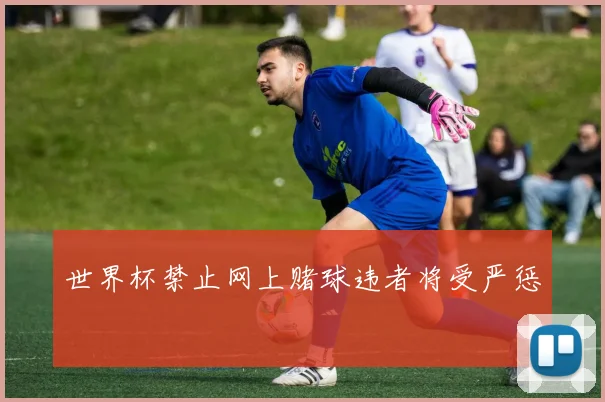 世界杯禁止网上赌球违者将受严惩