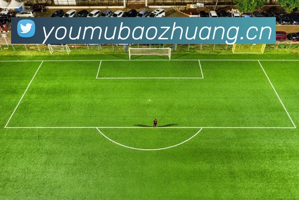 开云(中国)Kaiyun·官方网站 - 登录入口APP 高清赛事图